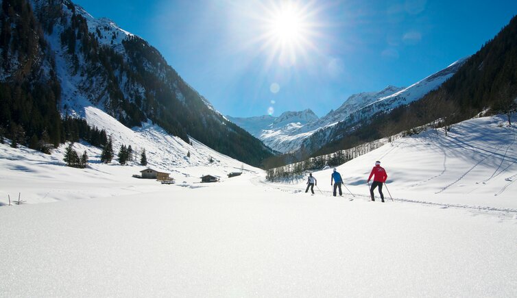 Langlaufen Schoenachtal Zillertal Arena