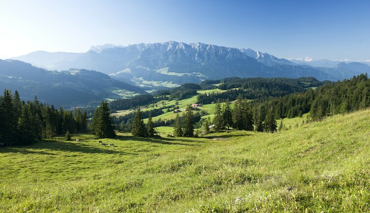 blick von niederndorferberg zahmer kaiser