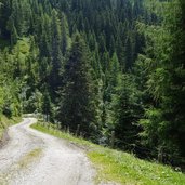mtb route nach alpbach talfahrt
