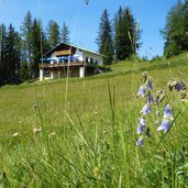 berggasthof mutzkopf