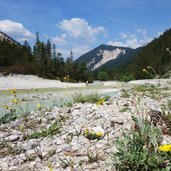 isar im hinterautal