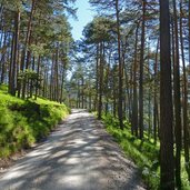 radroute via alpina bei scharnitz karwendelsteg