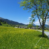 ellmau am wilden kaiser