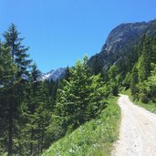 schluchtenweg im johannestal karwendel