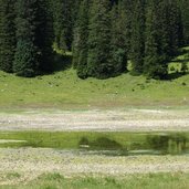 ehrwald igelsee