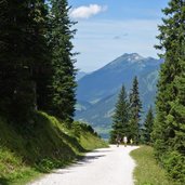 abfahrt zur ehrwalder alm wanderer