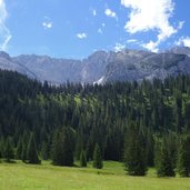 ehrwalder alm rundblick fr