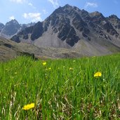 landschaft am murmetenkar dahinter bergkastel spitze