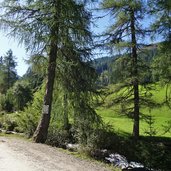 wiesen im senderstal bei abzweigung salfeins