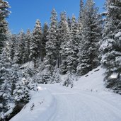 rodelbahn juifenalm