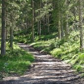 thoerleweg von ehrwald zur hochtoerlehuette