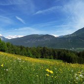 wiesen bei ranggen am peter anich weg