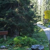 weg nr zur seeben alm abzweigung