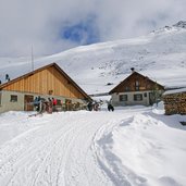 juifenalm winter