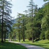 isarweg isar radweg bei riedboden naturschutzgebiet