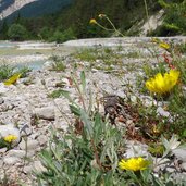 isar im hinterautal