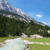 almen im hinterautal an der isar dahinter hoher gleirsch