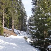 waldraster rundweg winter