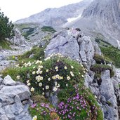 weg zum lafatscherjoch