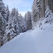 rodelbahn brandstatt alm stubai winter