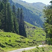 forstweg unterhalb weidener huette route bzw mtb