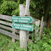 wiesen und waldweg steinach gschnitz