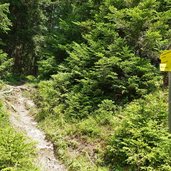 wanderweg alpbach pechalm schatzberg