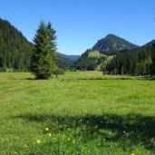 vilstal mtb route bei kalbelehof alpe