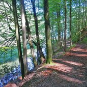 wanderweg umrundung alpsee