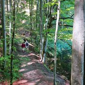 wanderweg umrundung alpsee