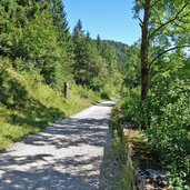 fuerstenstrasse wanderweg radweg bei pinswang