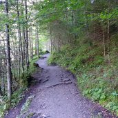 plansee rundwanderweg