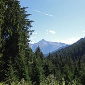 wald am horbergweg