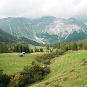 obernberg wiesen bei steiner alm herbst und tribulaun