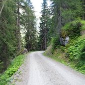 forststrasse zur tiefental alm mtb radroute