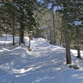 winterwald gaistal weg bei leutasch