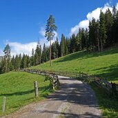 forstweg zur kamelisenalm