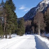 langlaufloipe bei gschnitz