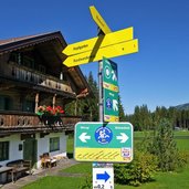 radweg bei westendorf radroute kitzbuehel brixental radwanderweg