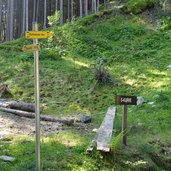 forststrasse pfaffenhofener alm mtb route s kurve