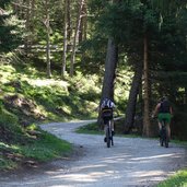 mountain biker am weg richtung padasterjochhaus bei burgwald