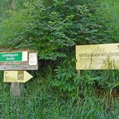 gries am brenner wegweiser sattelbergalm