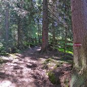 gries am brenner weg zur sattelbergalm