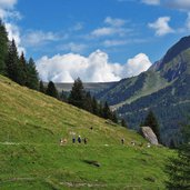 wanderer am bichlalmweg hintertux