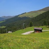 wiesen bei rohrberg rosenalm fr