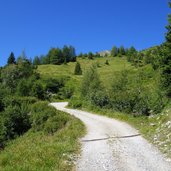 wiesen unter padasterjoch ober kaeferloch fr