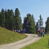 forststrasse zur kreuzwiesenalm wanderer