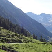 wanderer im stilluptal bei waldlalm