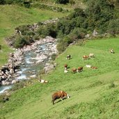 stilluptal bei schindhuette