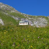 wiesen bei padasterjochhaus